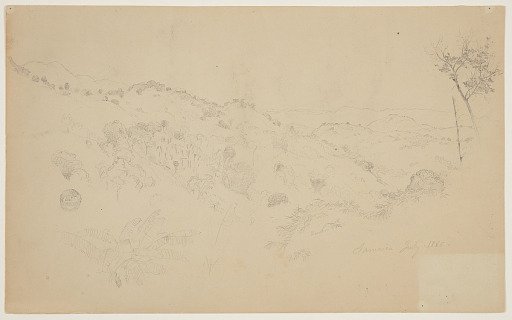 Wooded Vale, Jamaica