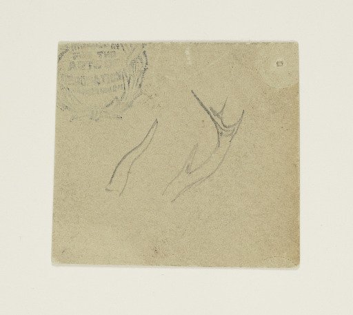 Sketch of Two Antlers
