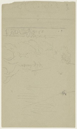 Sketch of a Tree Trunk and a View at Sea, Jamaica
