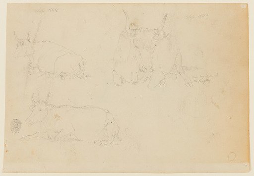 Views of a Seated Bull, Catskill, New York