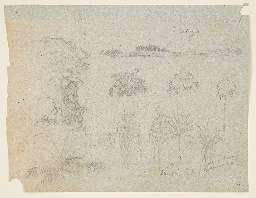 Views along the Rio Magdalena, Colombia