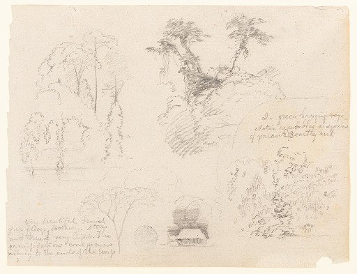 Botanical Sketches with a House, Colombia