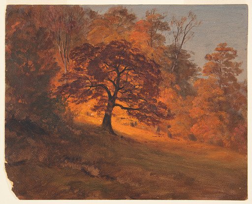 Autumn Foliage