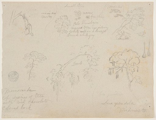 Botanical Studies, Colombia