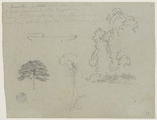 Botanical Sketches along the Río Magdalena, Colombia
