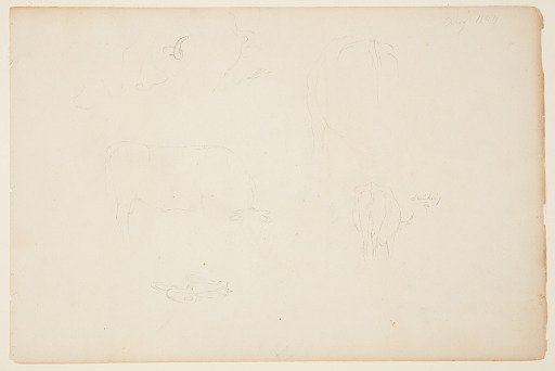 Bull Drinking and a Yoke, Catskill, New York