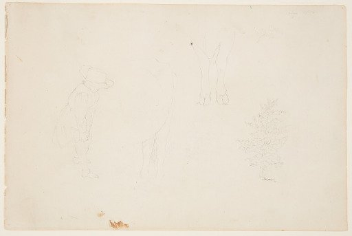 Sketches of Theodore Cole, Cow Legs, and a Tree, Catskill, New York