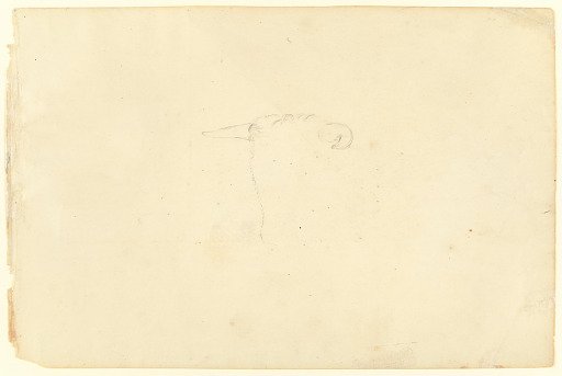 Sketch of a Bull's Head, Catskill, New York