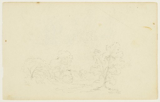 Wooded Landscape