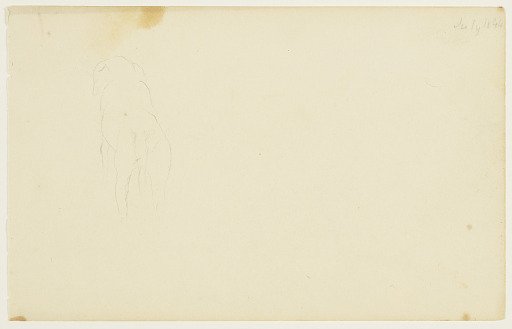 Dog, Shown from Behind