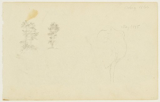 Trees and a Cow, Catskill, New York
