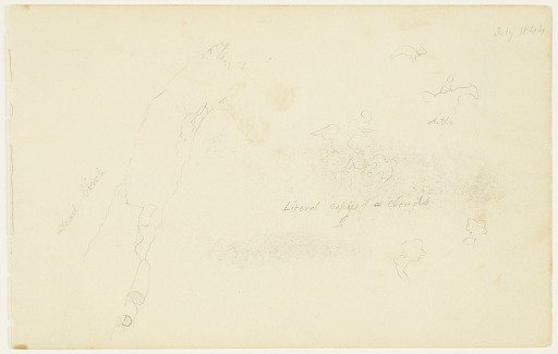 Cloud Figures and Dead Birch, Catskill, New York