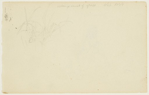 Arrangement of Grass, Catskill, New York