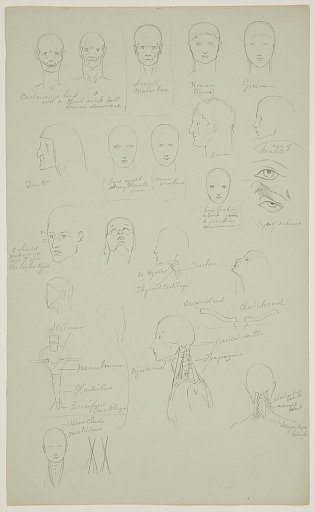 Anatomical Sketches of Heads and Facial Expressions