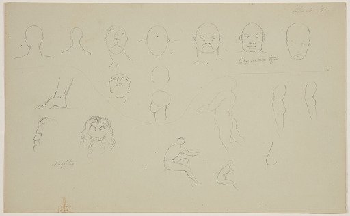 Anatomical Sketches of Heads and Torsos