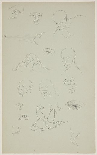 Anatomical Sketches of Heads, Faces, and Eyes