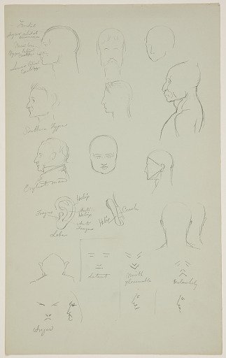 Anatomical Sketches of Heads, Faces, and the Ear
