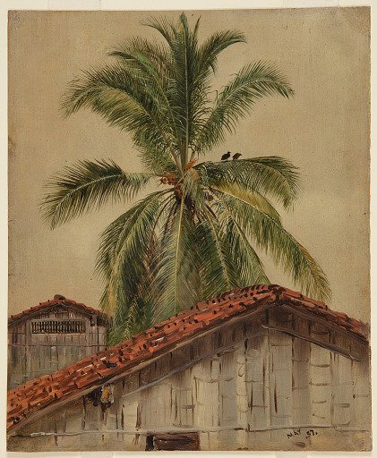 Palm Trees and Housetops, Ecuador