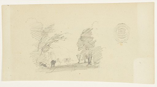 Three Cows on a Road in the Woods