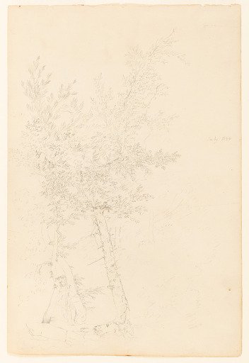 A Group of Trees, Catskill, New York