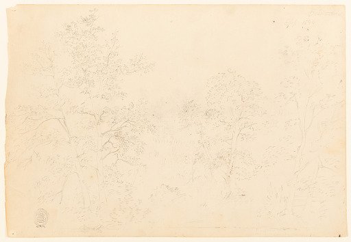 Chestnut Trees at the Water's Edge, Catskill, New York