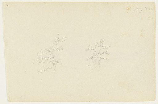Two Trees, Catskill, New York