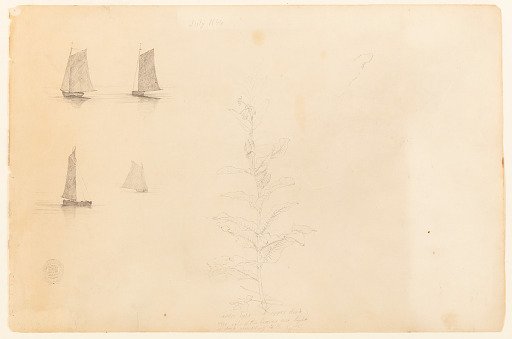 Mixed Sketches, Catskill, New York