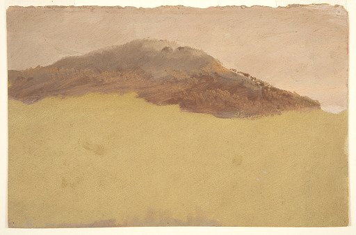 Wooded Hillside