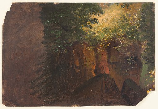 Boulders and Vines