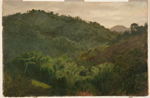 Wooded Vale, Jamaica