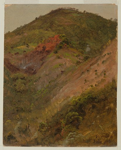 Steep Hillside, Jamaica