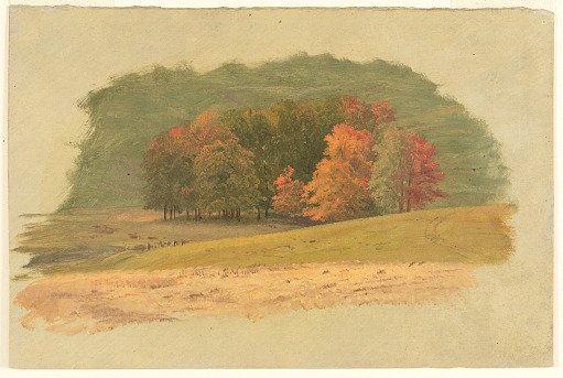 Grove of Trees in Autumn, Vermont