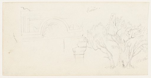 Old Olive Tree and Entablature, as-Samu, Palestine