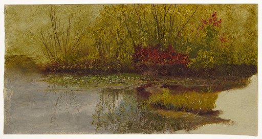 A Corner of a Pond