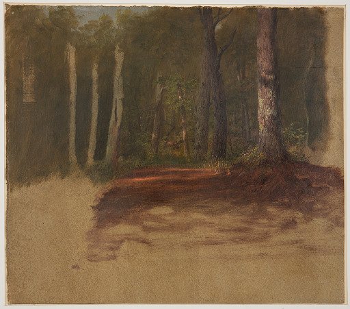 A Road into the Woods