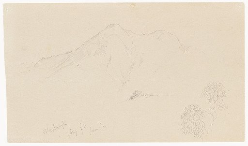 Mountain and Plants, Bloxburgh, Jamaica