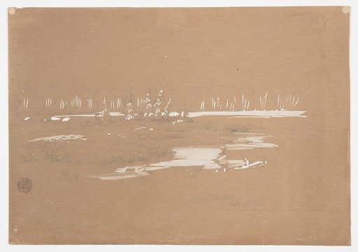 Marshy Landscape near Millinocket Lake, Maine