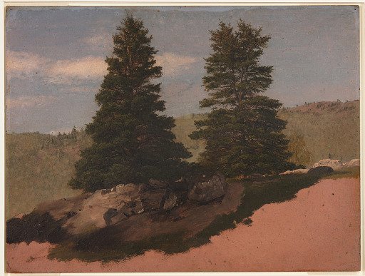 Two Pine Trees, Mt. Desert Island, Maine