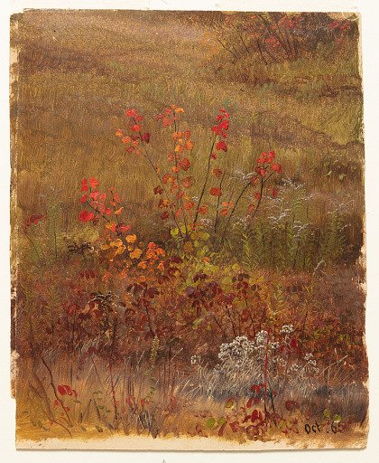 Meadow in Autumn, Vermont