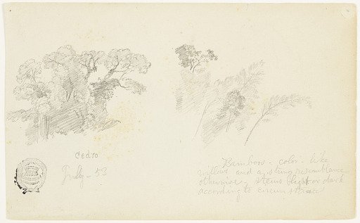 Botanical Studies, Colombia