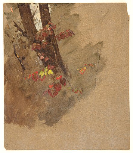 Tree and Leaves