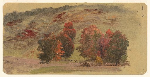 Autumn Colors, Vermont