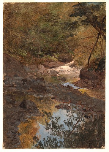 Woodland Stream