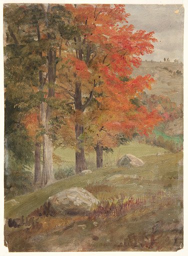Woods in Autumn, Vermont