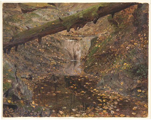 Woodland Stream, Late Autumn