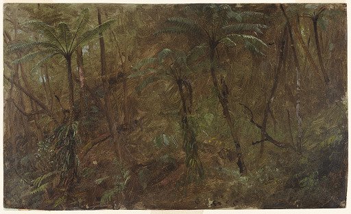 In the Woods, Jamaica