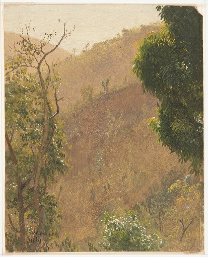 Hillsides, Jamaica