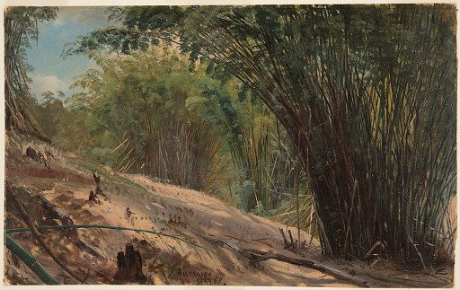 Bamboo Grove, Jamaica