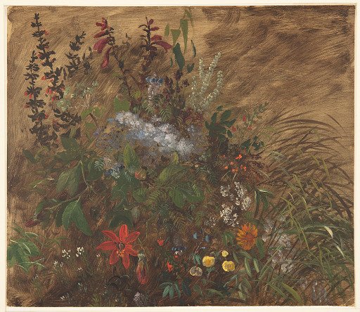 Wildflowers