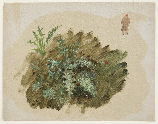 Botanical and Figure Study